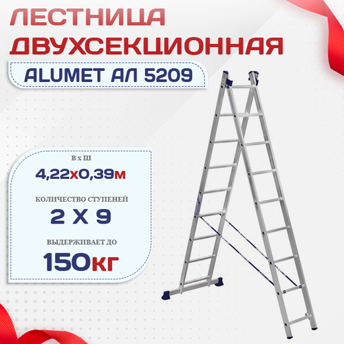Лестница двухсекционная Alumet Ал 5209 - stroymarket66.ru - Казань